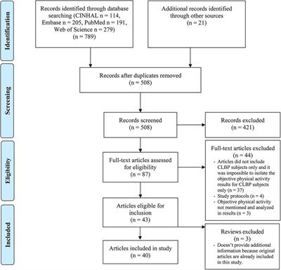 Measuring objective physical activity in people with chronic low back pain using accelerometers: a scoping review